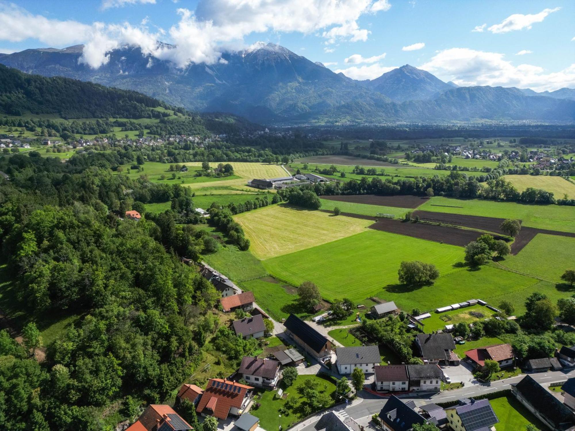 Turisticna Kmetija Grabnar Villa Bled Eksteriør billede