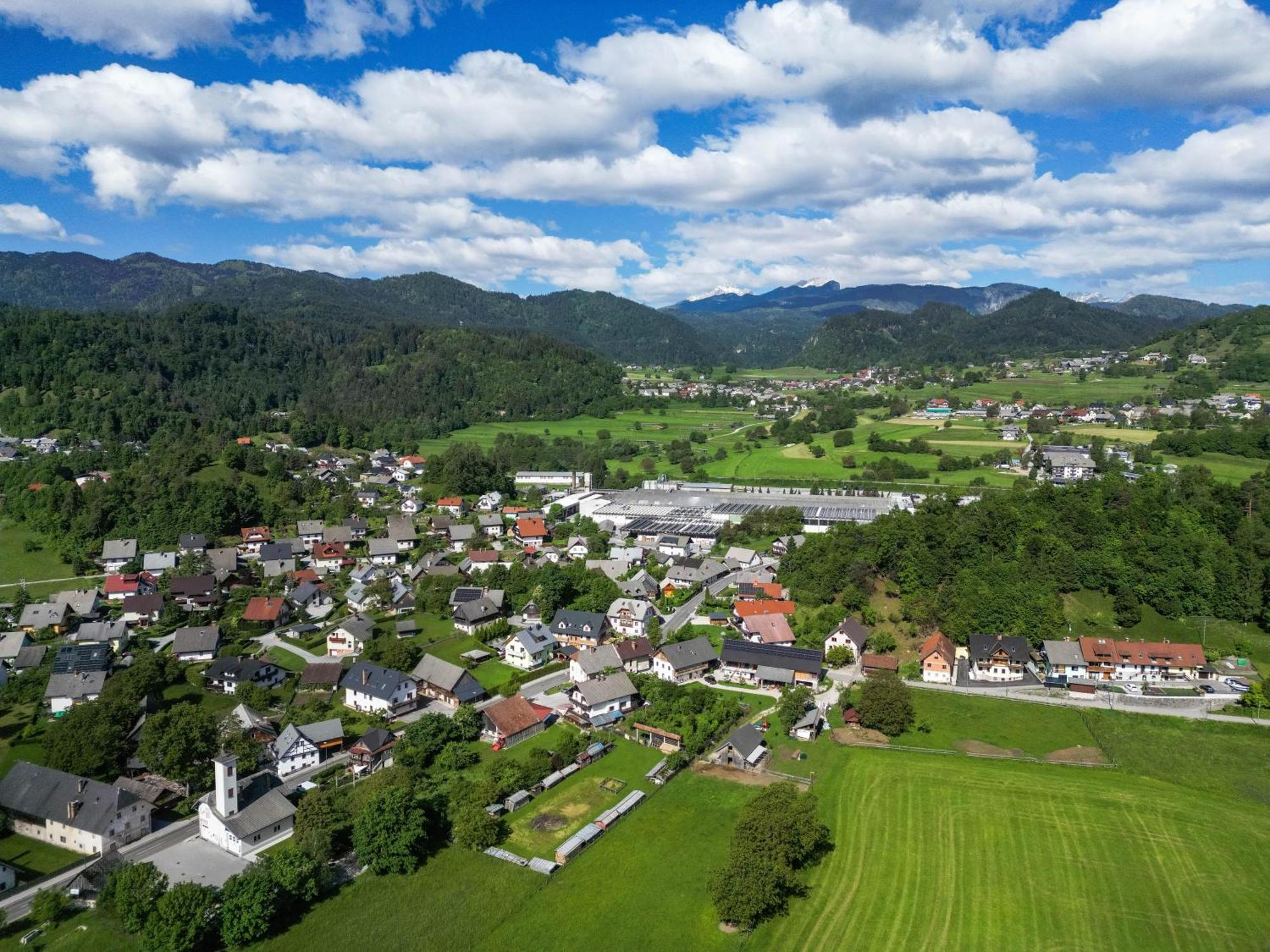 Turisticna Kmetija Grabnar Villa Bled Eksteriør billede